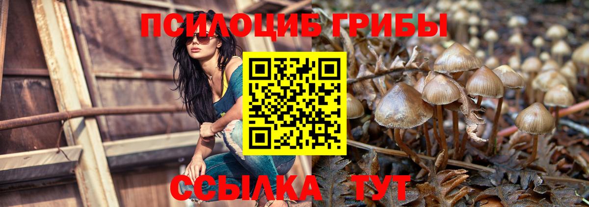 Галлюциногенные грибы Magic Shrooms  Вход с VPN  где купить наркоту  Белореченск 